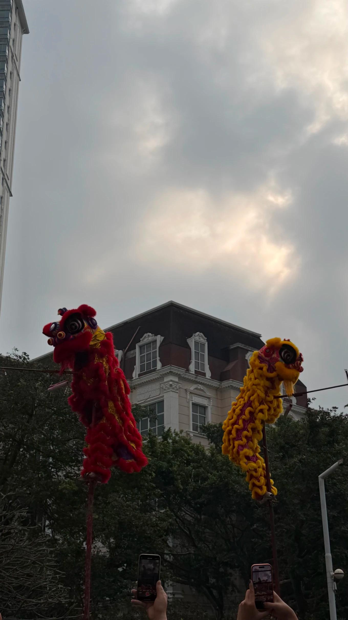春节感受广西风俗 北海的舞狮表演