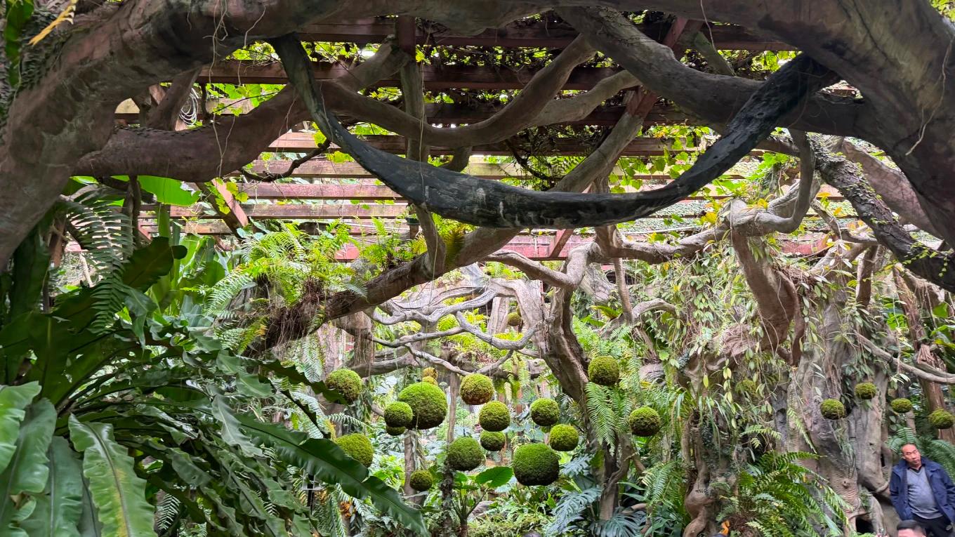 春节南宁的惊喜 南宁值得打卡的地方